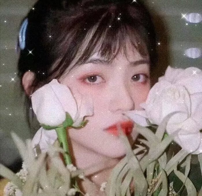 谍网暗战
